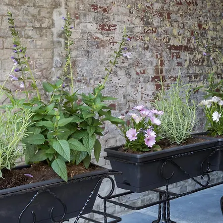 Appartement Hotspot Location, Wifi, Bed En Koffie Harmony