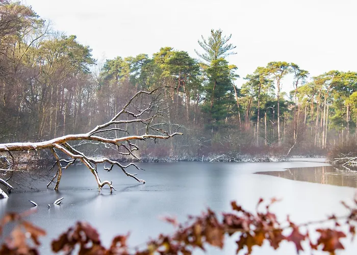 Hotspot Location, Wifi, Bed En Koffie Harmony Apartman