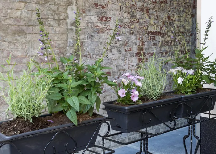 Apartment Hotspot Location, Wifi, Bed En Koffie Harmony