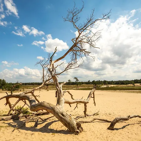 Daire Hotspot Location, Wifi, Bed En Koffie Harmony *