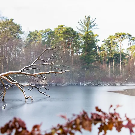 Hotspot Location, Wifi, Bed En Koffie Harmony Daire