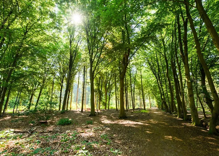 Hotspot Location, Wifi, Bed En Koffie Harmony