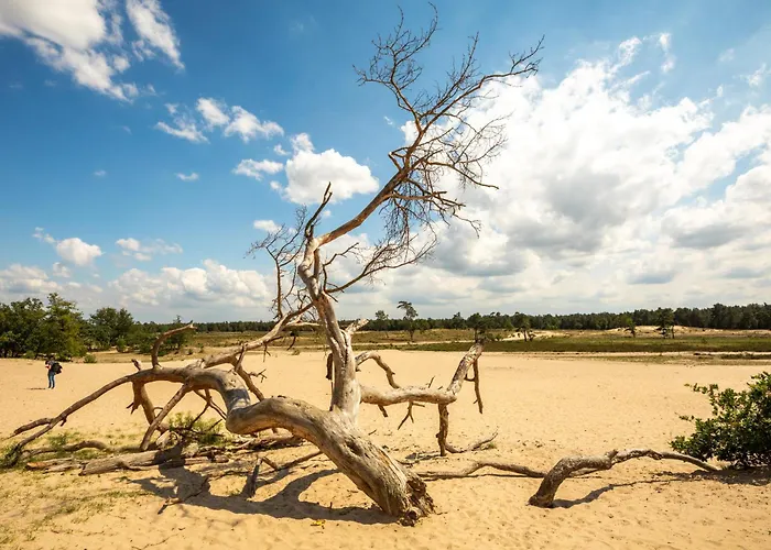 Daire Hotspot Location, Wifi, Bed En Koffie Harmony *